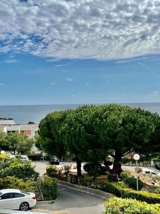 Joli Studio Cosy De 31 M2 Bord De Mer Acces Pmr 4Personnes ラシオタ エクステリア 写真